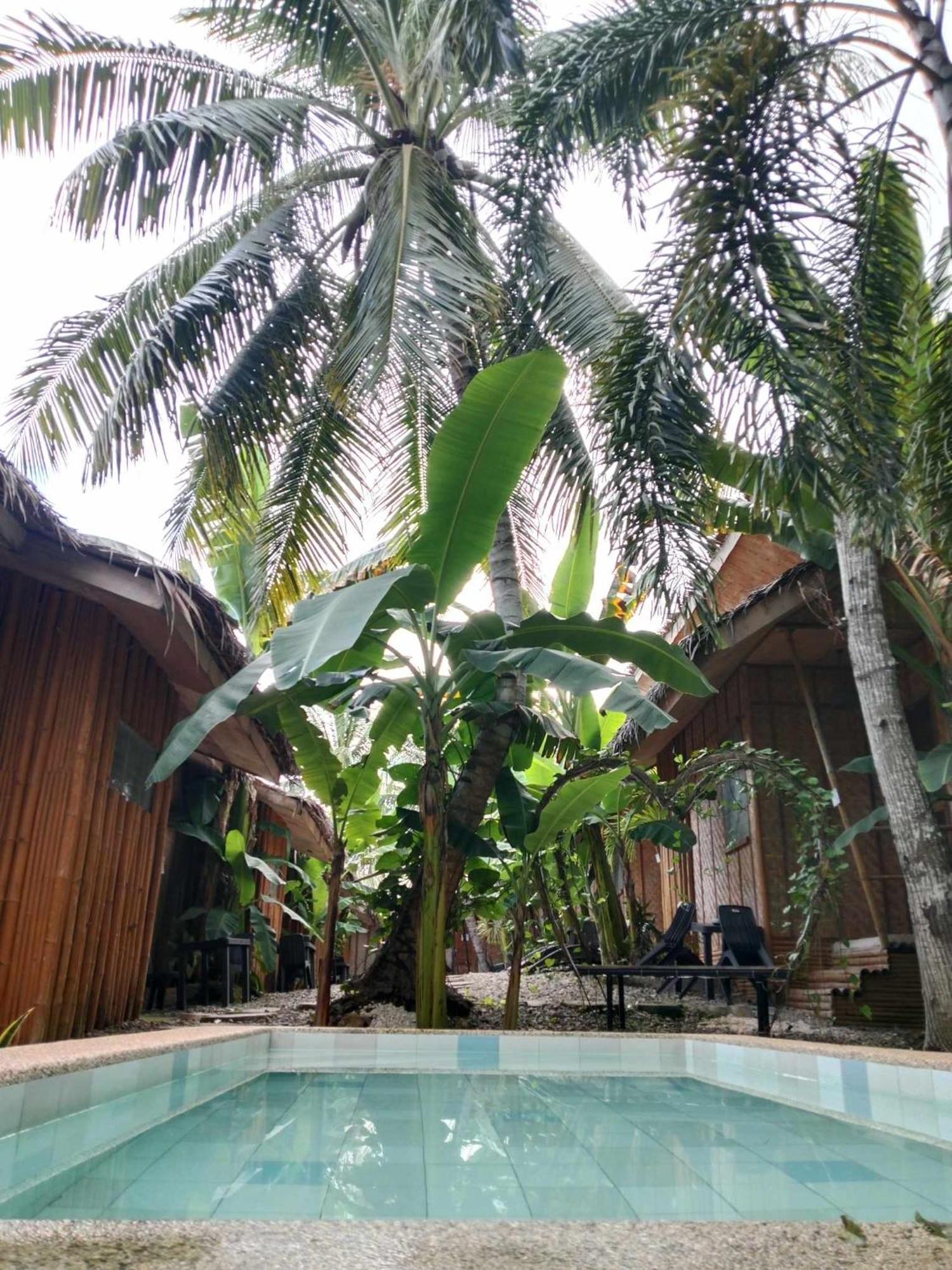 Ecostay Panglao Resort Hotel Exteriér fotografie