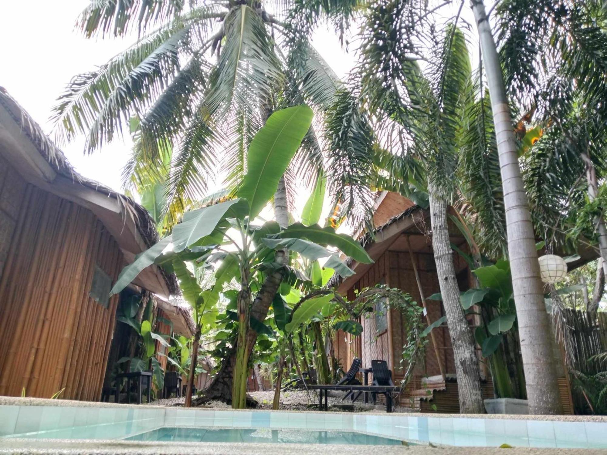 Ecostay Panglao Resort Hotel Exteriér fotografie